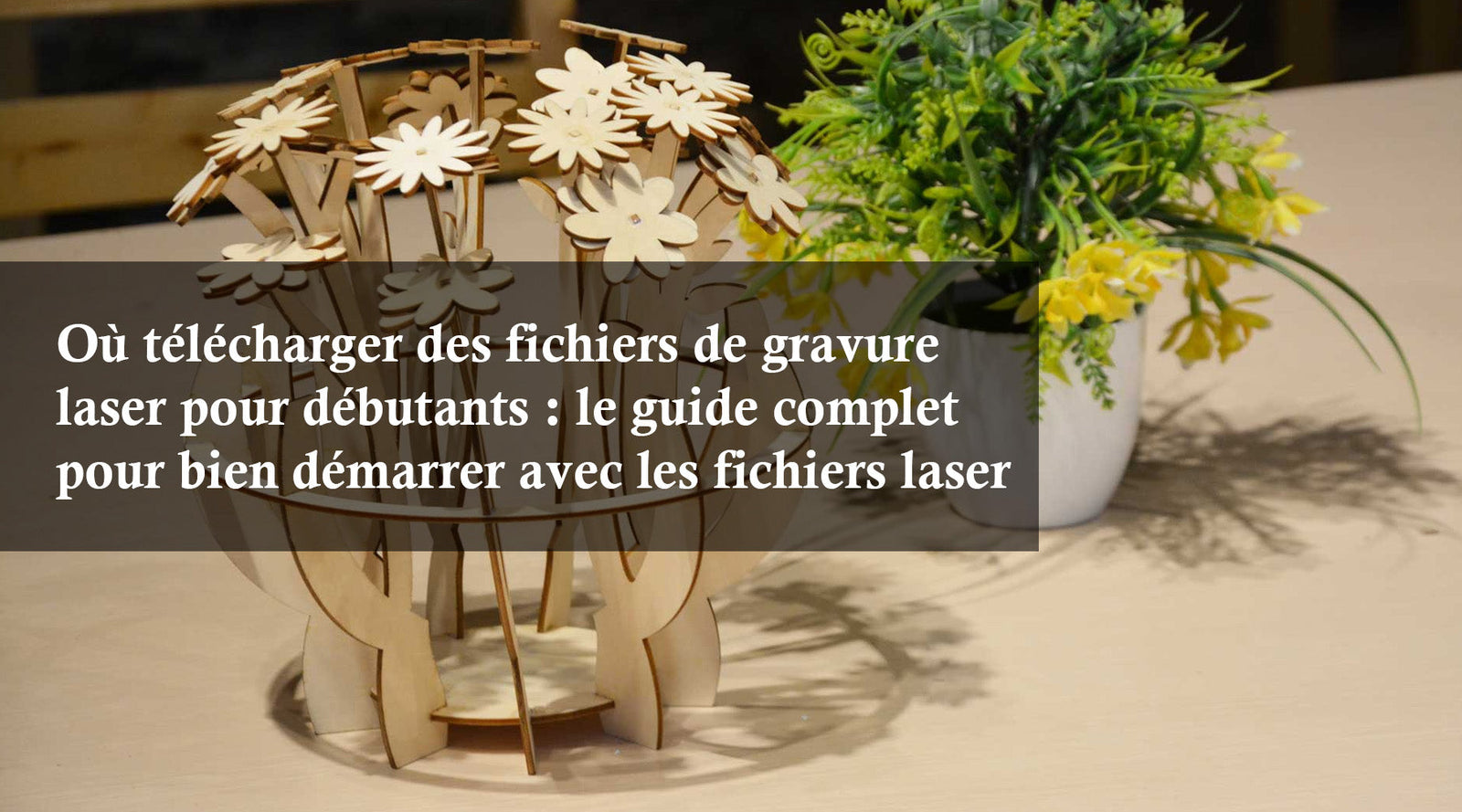 Où télécharger des fichiers de gravure laser pour débutants : le guide complet pour bien démarrer avec les fichiers laser