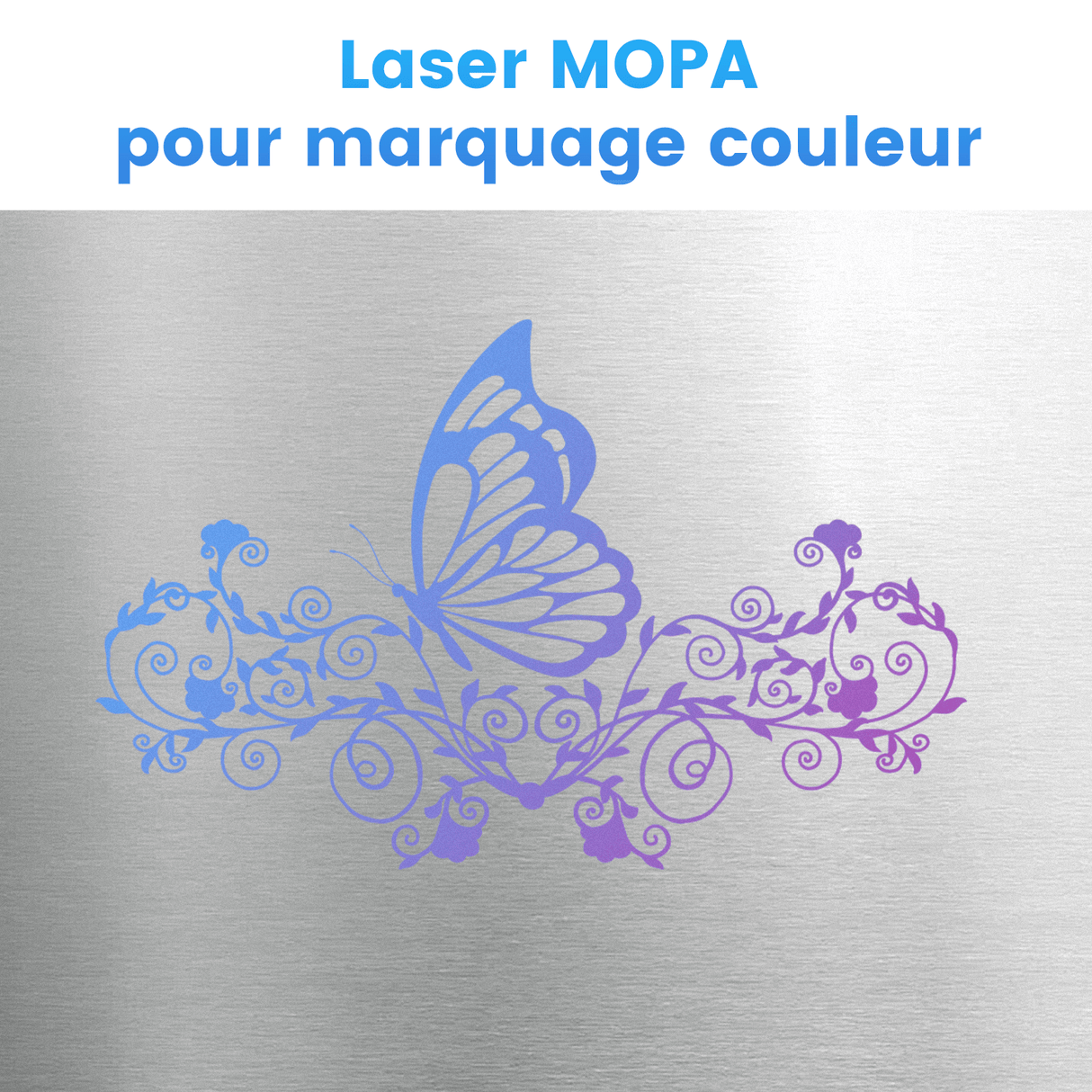 Monport GA Graveur & marqueur laser à fibre MOPA intégré amélioré 60W avec Mise au Point Automatique