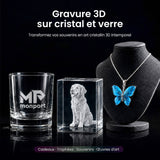 Monport GM 10W PRO Machine de gravure laser UV (gravure intérieure) – Marquage laser UV professionnel avec technologie laser froid 355 nm